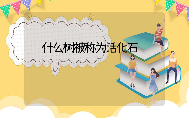  什么树被称为活化石